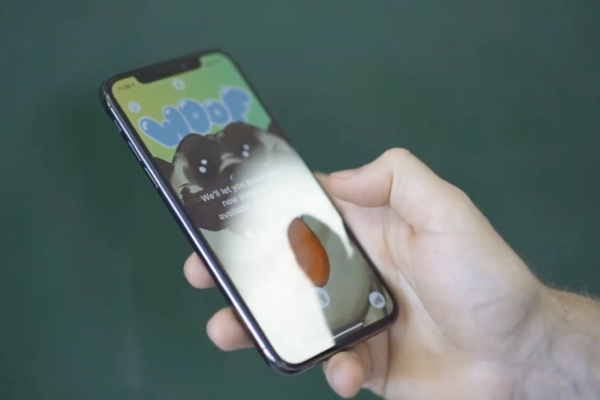 PHOTO - WOOF - External - Origin Story - App